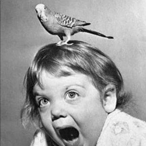 Meet your Posher, Maria